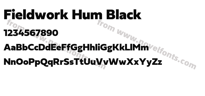 Fieldwork Hum BlackPreview