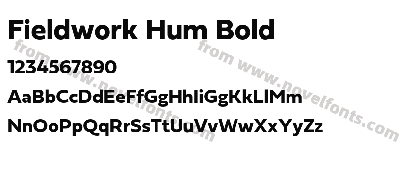 Fieldwork Hum BoldPreview