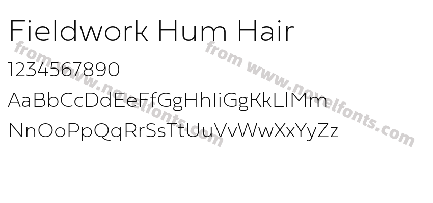 Fieldwork Hum HairPreview