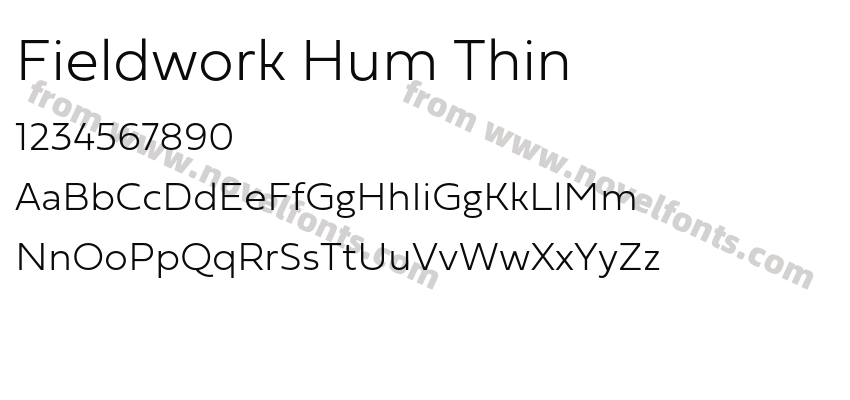 Fieldwork Hum ThinPreview