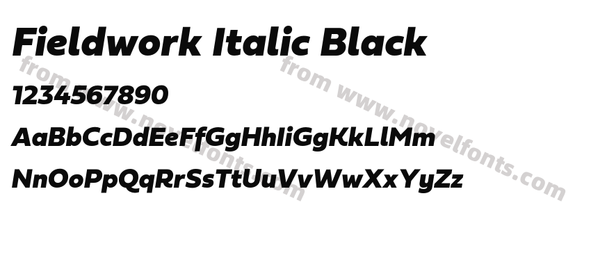 Fieldwork Italic BlackPreview