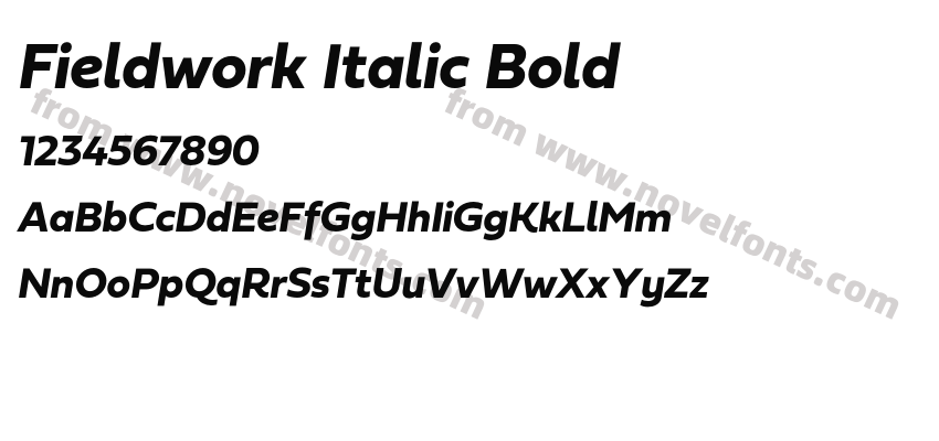 Fieldwork Italic BoldPreview