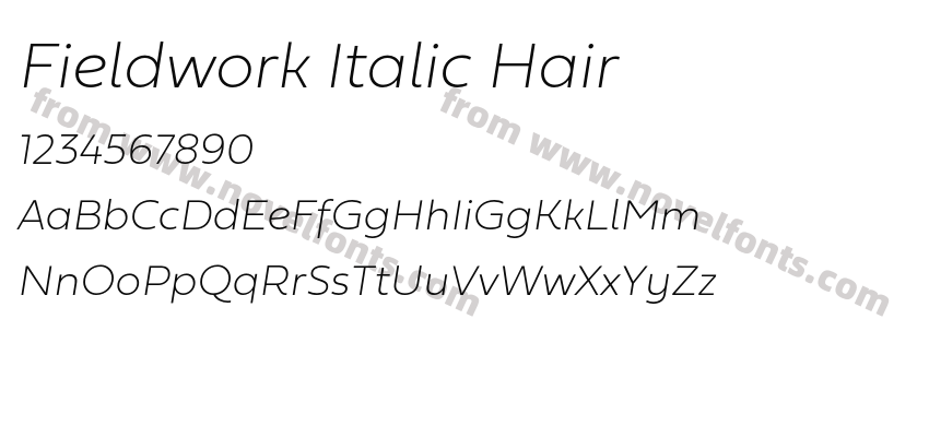 Fieldwork Italic HairPreview