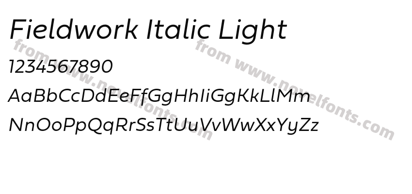 Fieldwork Italic LightPreview