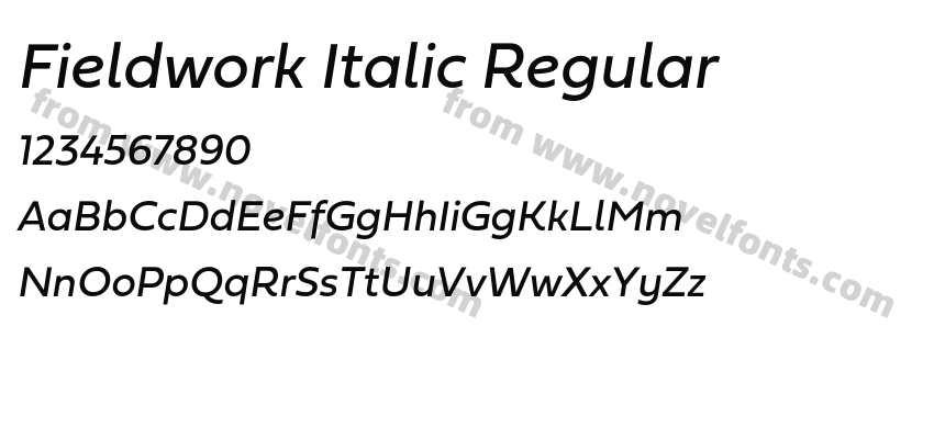 Fieldwork Italic RegularPreview