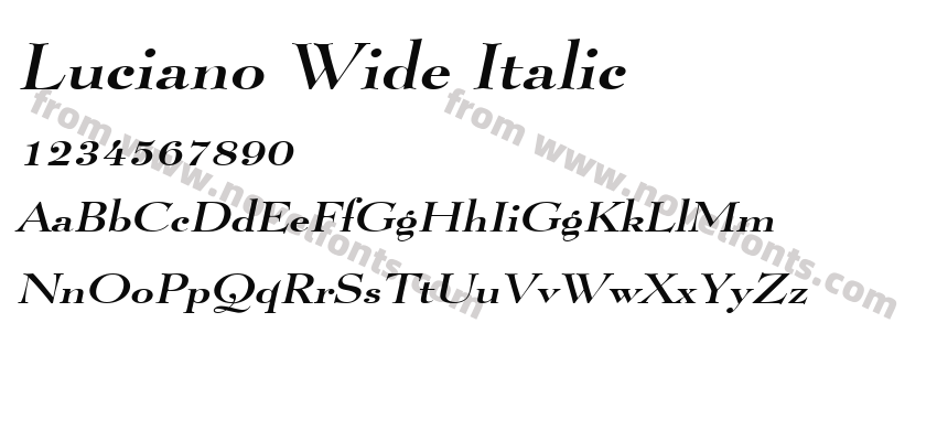 Luciano Wide ItalicPreview