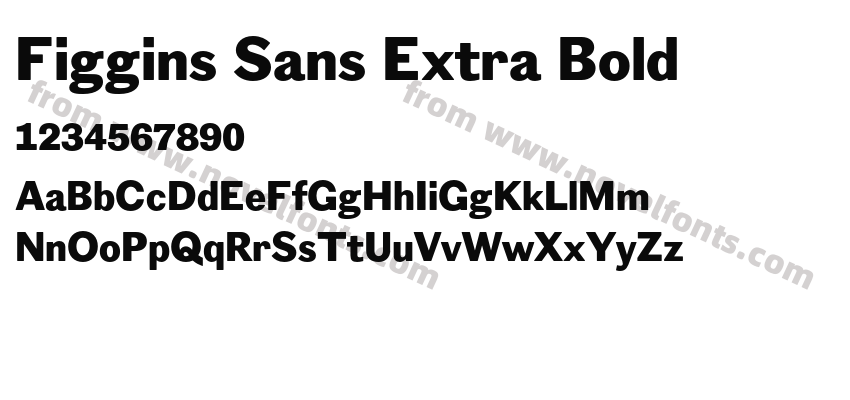 Figgins Sans Extra BoldPreview