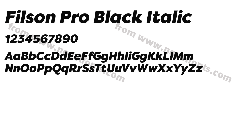 Filson Pro Black ItalicPreview