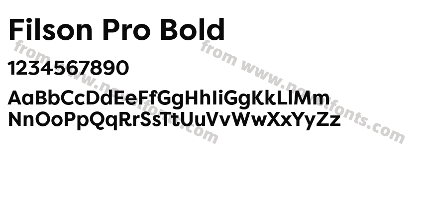 Filson Pro BoldPreview