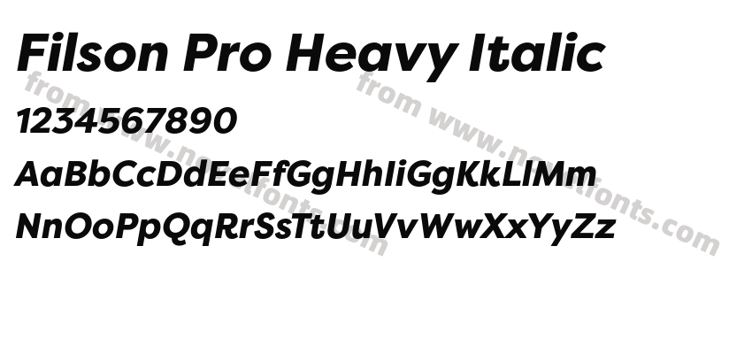 Filson Pro Heavy ItalicPreview