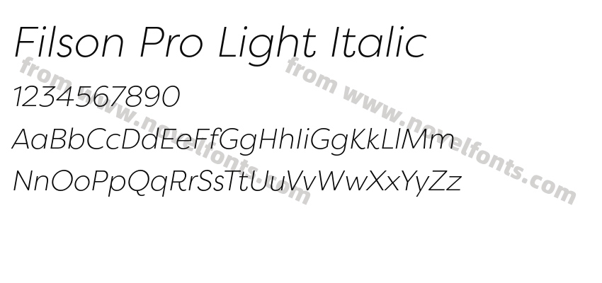 Filson Pro Light ItalicPreview