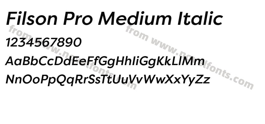 Filson Pro Medium ItalicPreview
