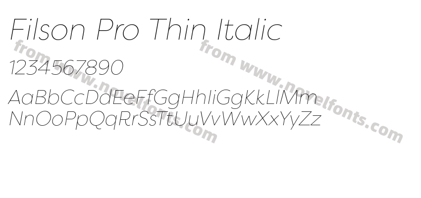 Filson Pro Thin ItalicPreview