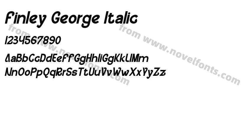 Finley George ItalicPreview