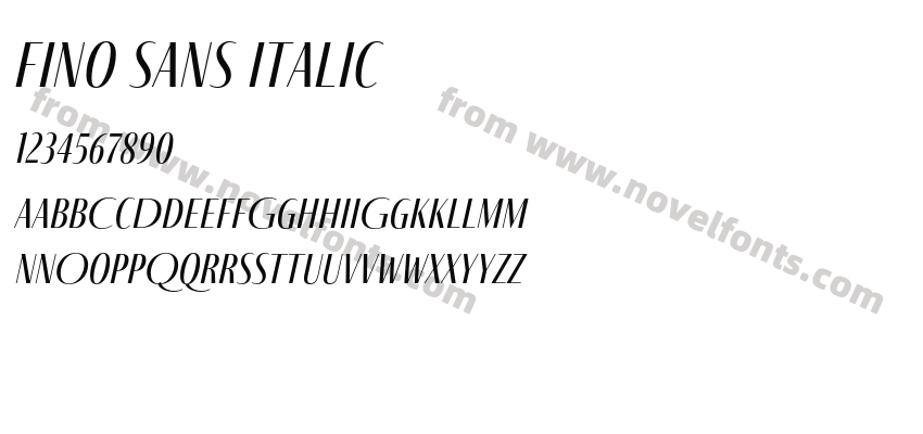 Fino Sans ItalicPreview
