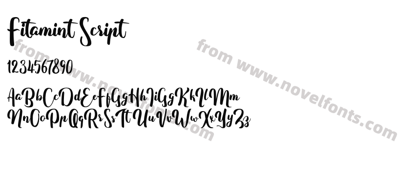 Fitamint ScriptPreview