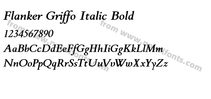 Flanker Griffo Italic BoldPreview