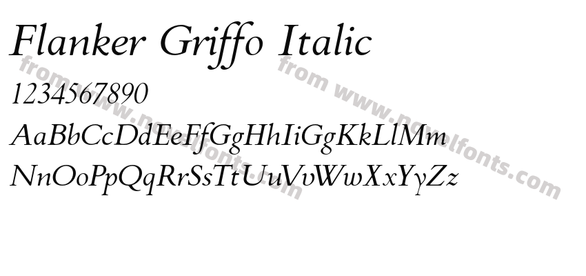 Flanker Griffo ItalicPreview