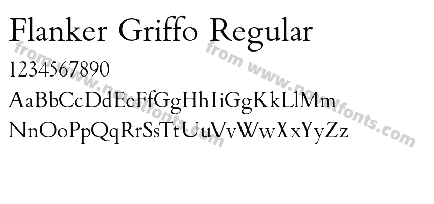 Flanker Griffo RegularPreview