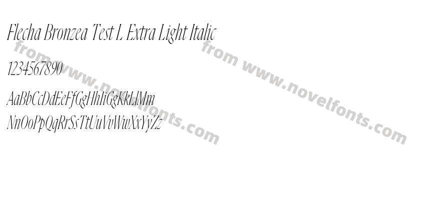 Flecha Bronzea Test L Extra Light ItalicPreview