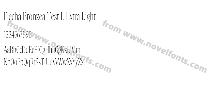 Flecha Bronzea Test L Extra LightPreview