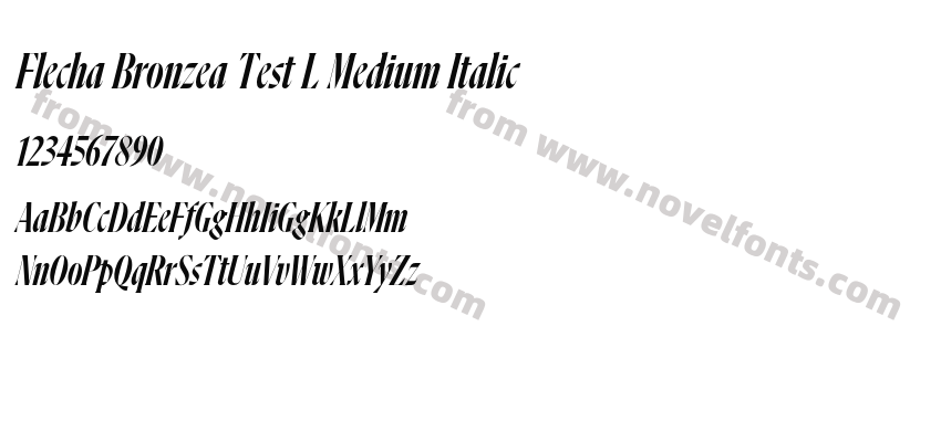 Flecha Bronzea Test L Medium ItalicPreview