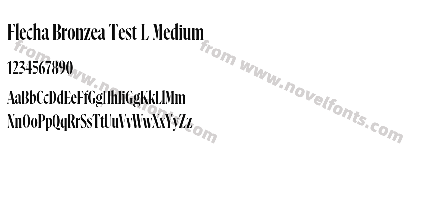 Flecha Bronzea Test L MediumPreview