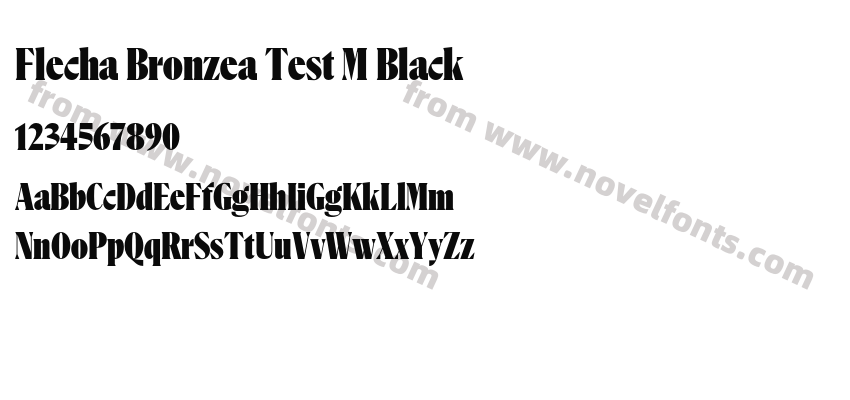 Flecha Bronzea Test M BlackPreview