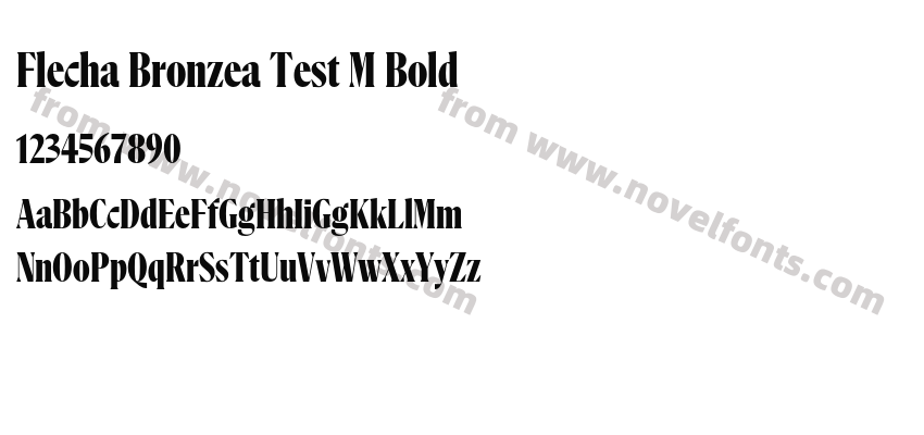 Flecha Bronzea Test M BoldPreview