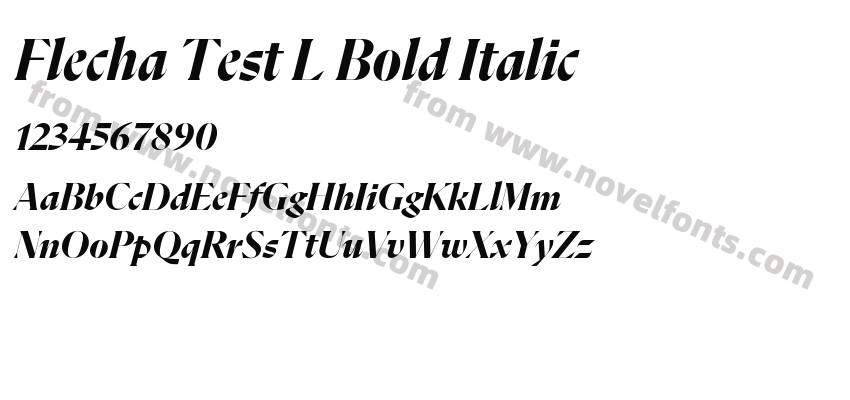 Flecha Test L Bold ItalicPreview