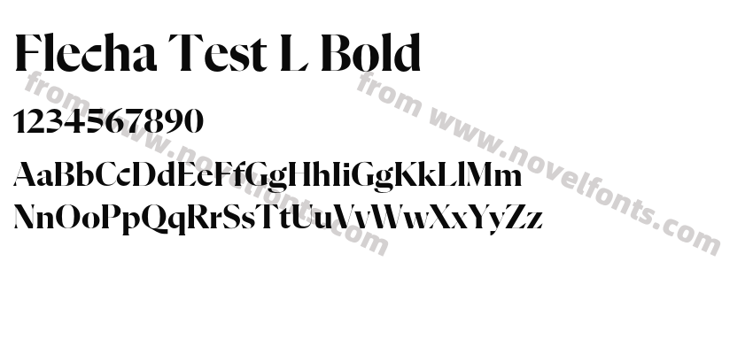 Flecha Test L BoldPreview