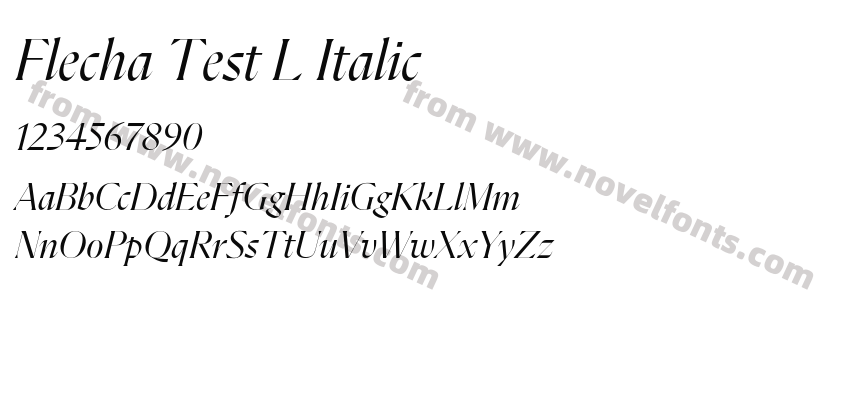 Flecha Test L ItalicPreview