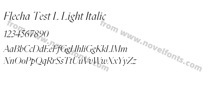 Flecha Test L Light ItalicPreview