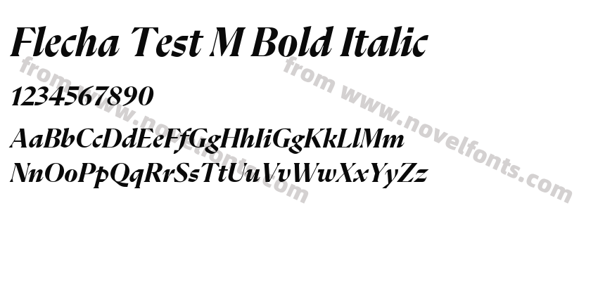 Flecha Test M Bold ItalicPreview