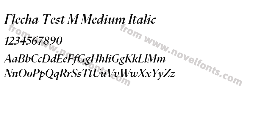Flecha Test M Medium ItalicPreview