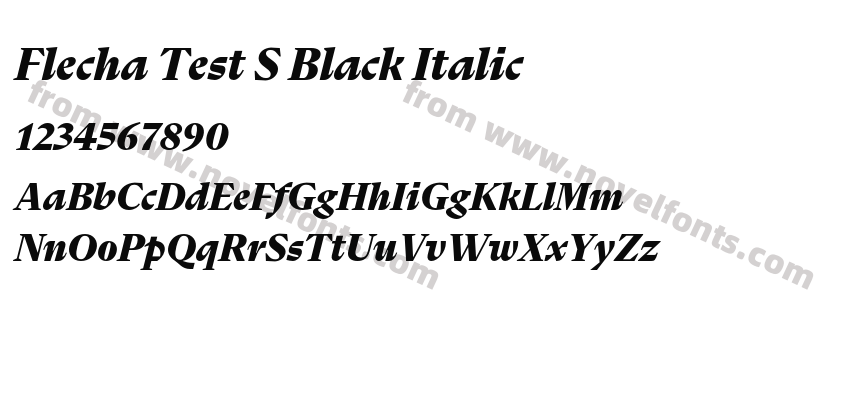 Flecha Test S Black ItalicPreview