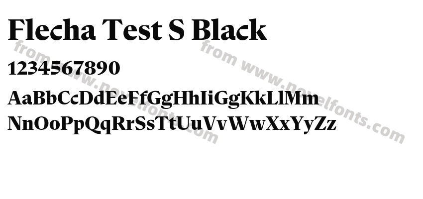 Flecha Test S BlackPreview