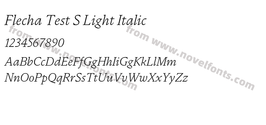 Flecha Test S Light ItalicPreview