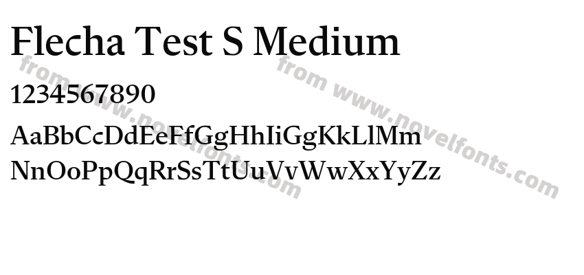 Flecha Test S MediumPreview