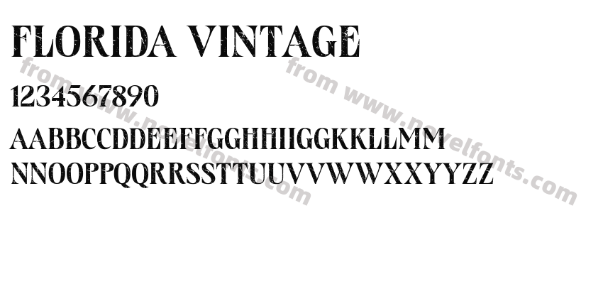 Florida VintagePreview