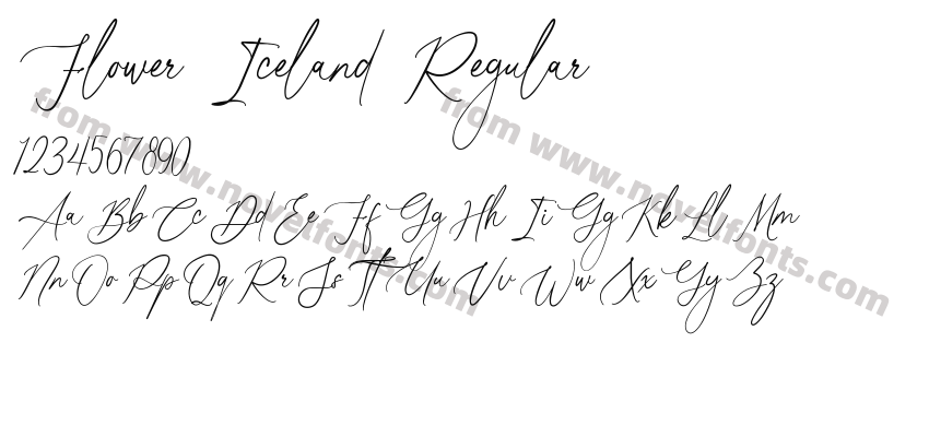 Flower Iceland RegularPreview