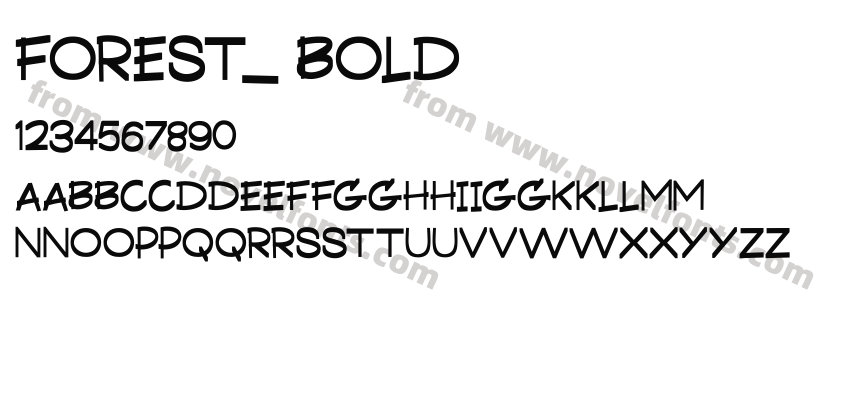Forest_ BoldPreview