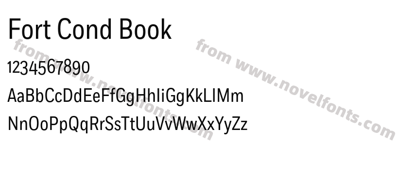Fort Cond BookPreview
