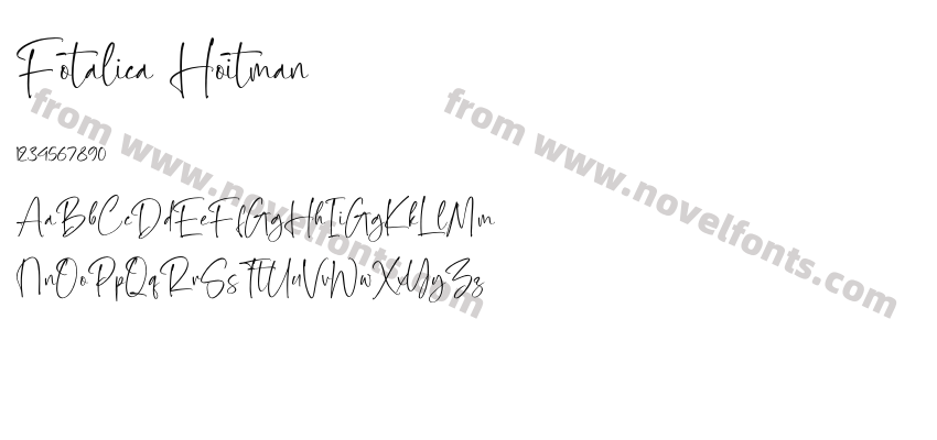 Fotalica HoitmanPreview