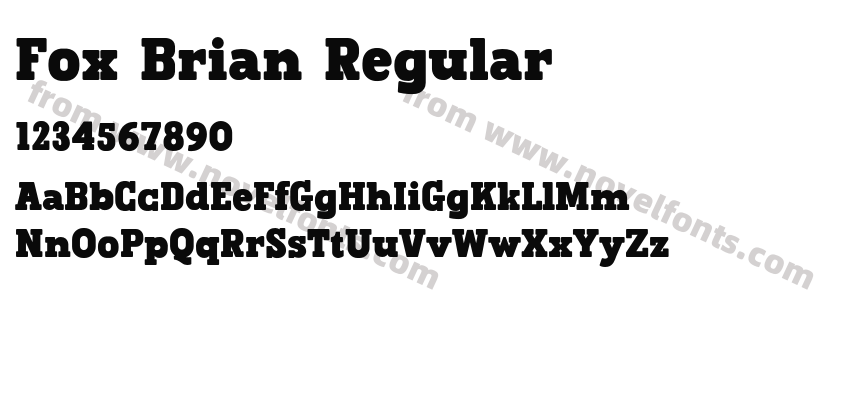 Fox Brian RegularPreview