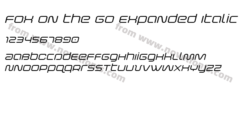 Fox on the Go Expanded ItalicPreview
