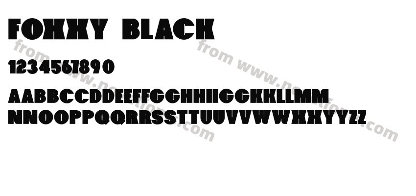 Foxxy BlackPreview