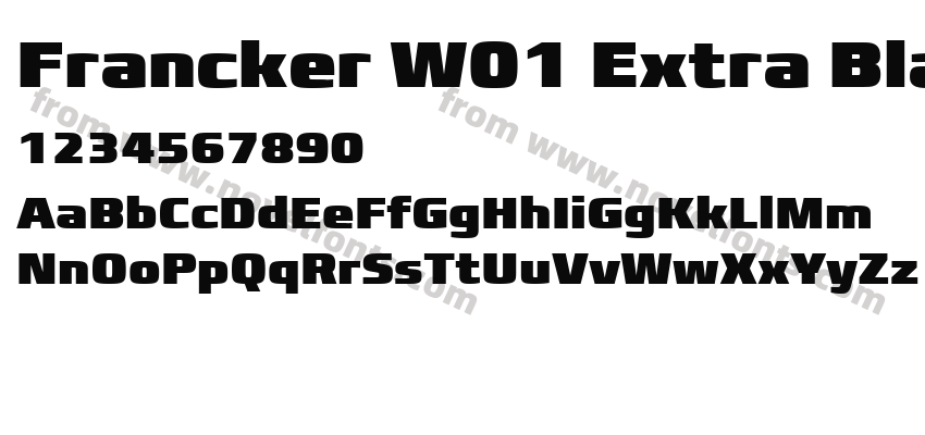 Francker W01 Extra BlackPreview