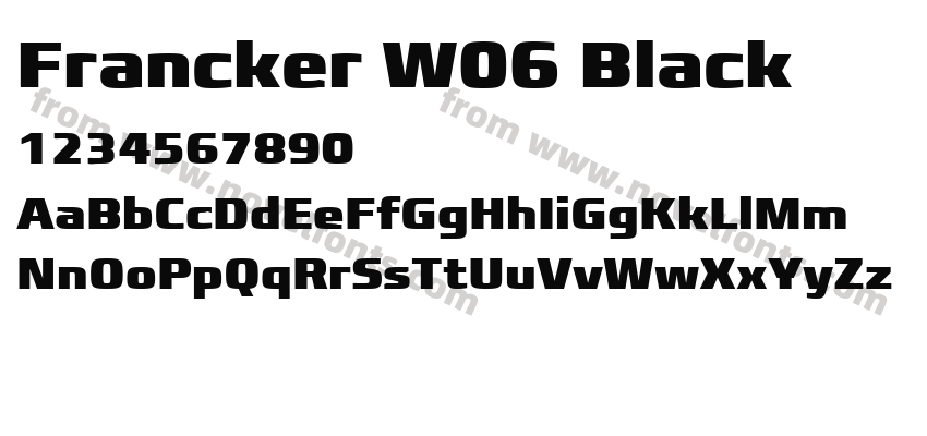 Francker W06 BlackPreview