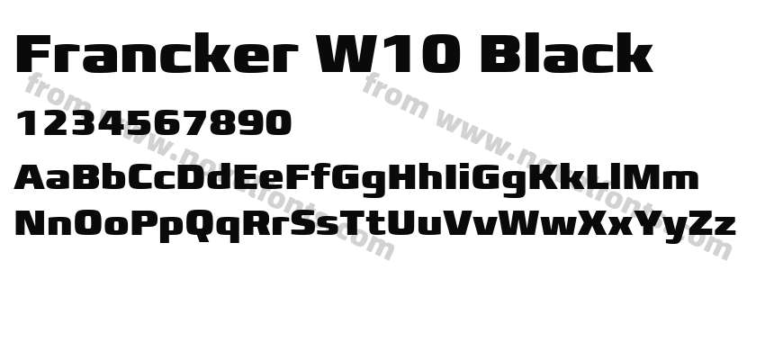 Francker W10 BlackPreview